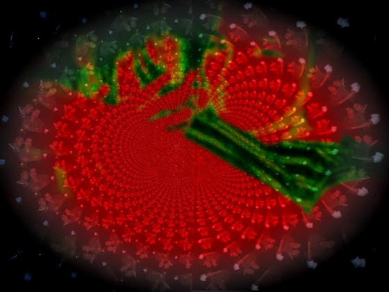 Layout: Logo, Tarps, Magazine cover, Personalized layout